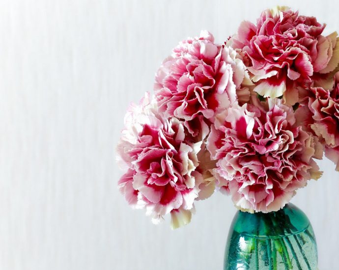5 best flowers to gift in November