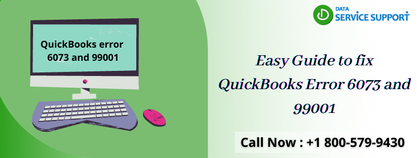 Easy Guide to fix QuickBooks Error 6073 and 99001