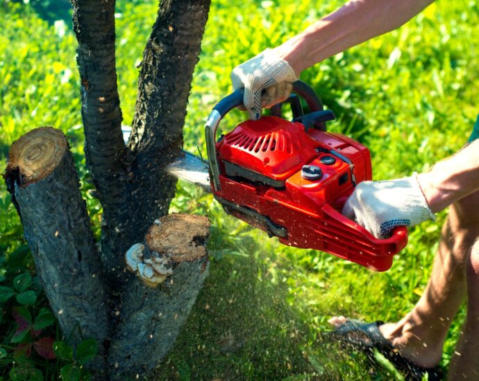 Cheap Tree Removal Sydney