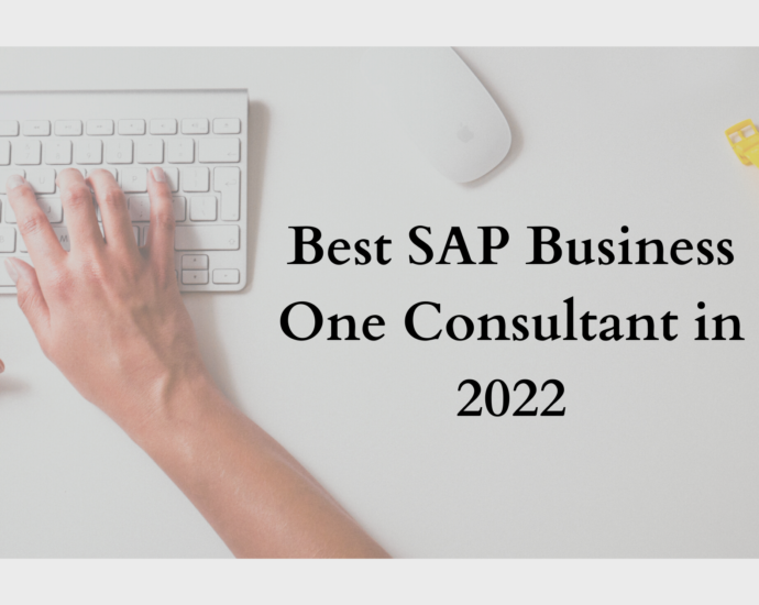 SAP-Business-One-Consultant