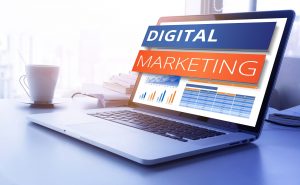 Digital marketing agency in noida