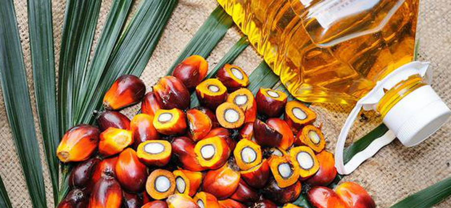 India Palm Oil Market