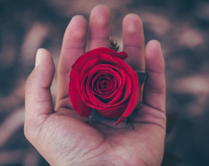 valentine Day Flower Delivery