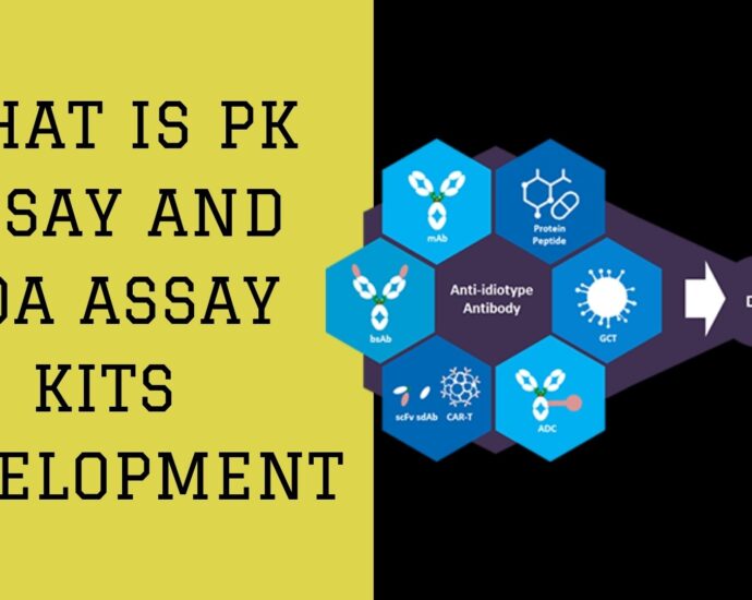 What is PK assay and ADA Assay Kits Development