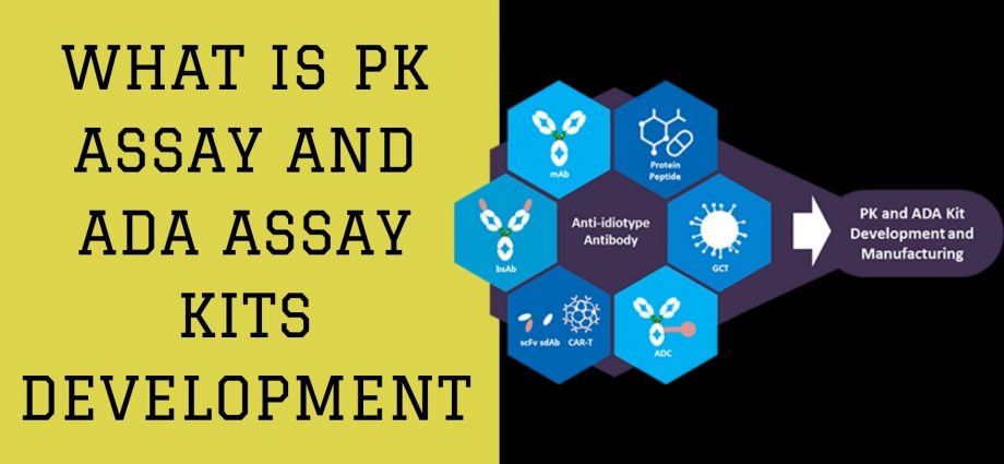 What is PK assay and ADA Assay Kits Development