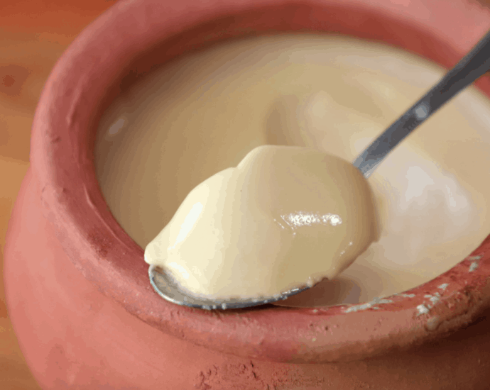 mishti doi nutrition