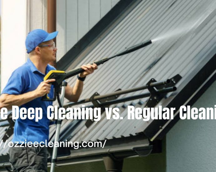 House Cleaning Services