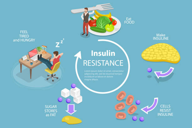 Blood glucose (sugar) and insulin in action