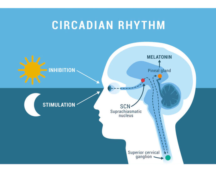 When does Melatonin 10mg working? What Works?