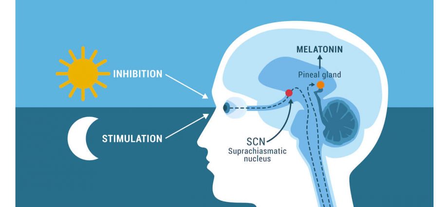 When does Melatonin 10mg working? What Works?