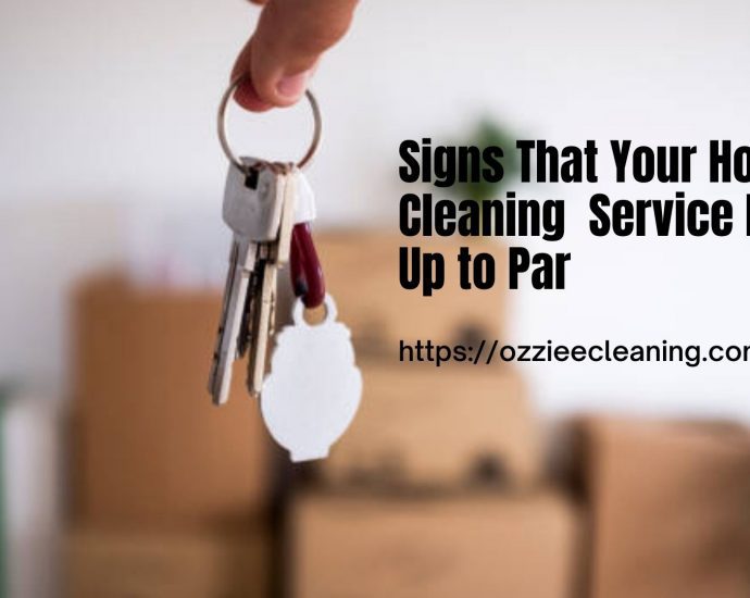 Cleaning Service