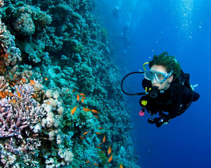 diving-in-Mallorca