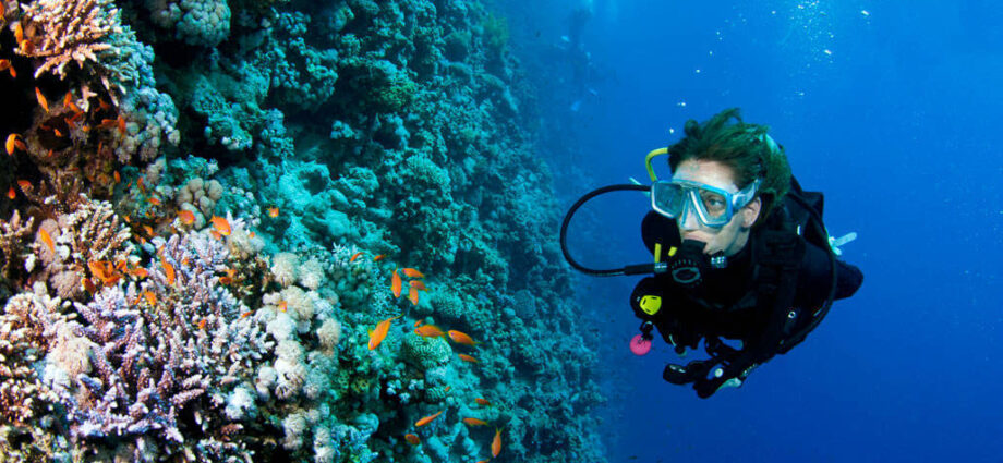 diving-in-Mallorca