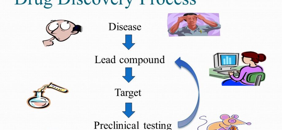 drug discovery process