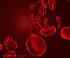 blood cancer treatment