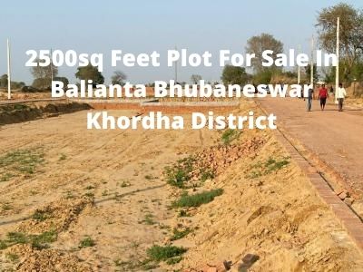 2500sq Feet Plot For Sale In Balianta Bhubaneswar