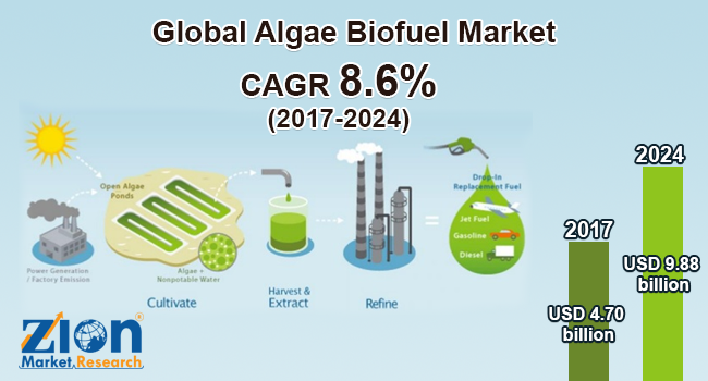 Global Algae Biofuel Market