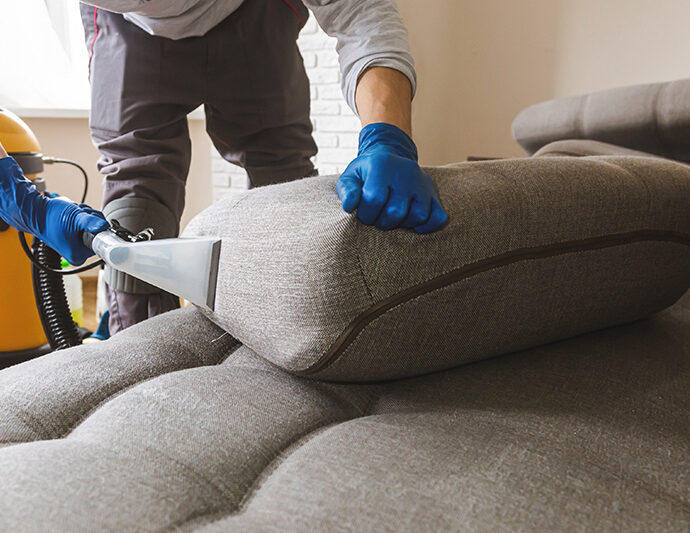 Upholstery Cleaning Cost