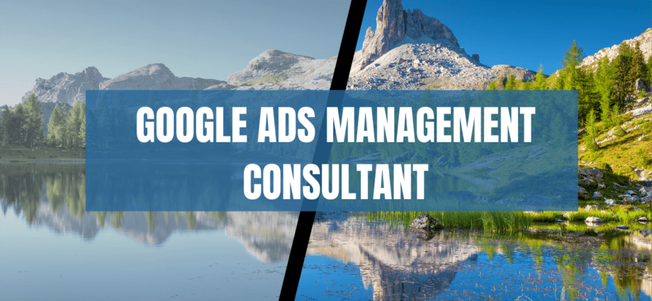 google ads management