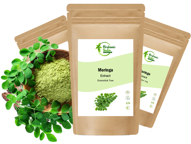 Herbal Powder Manufacturer