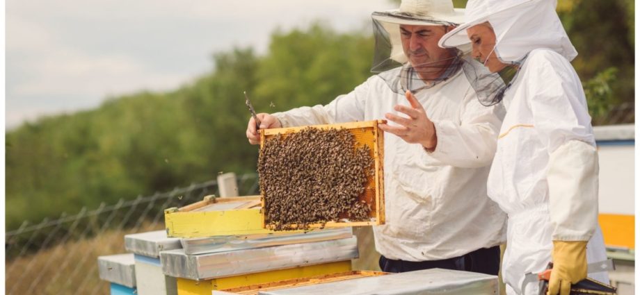 beekeeping supplies in brisbane