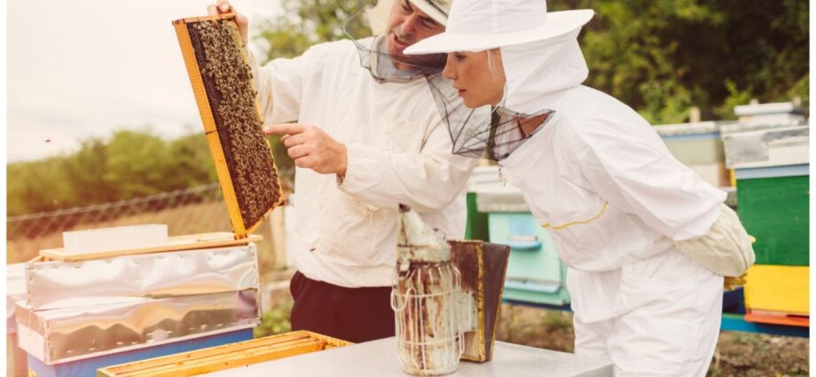 Beekeeping Gear