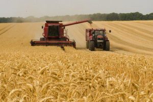 Tractors in Angola