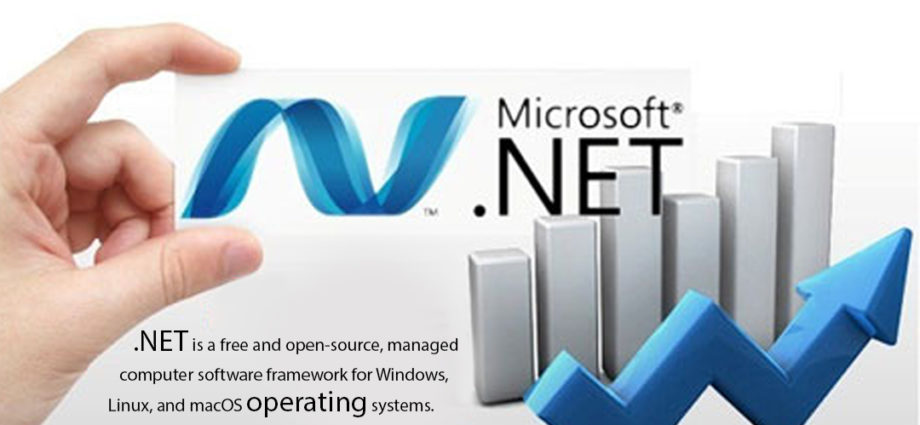 Dot Net Online Training in India