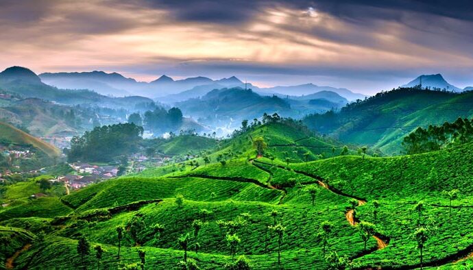 Munnar Tour packages from Chennai