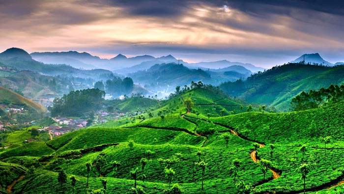 Munnar Tour packages from Chennai