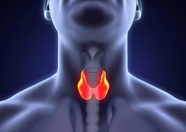 Hashimoto’s thyroiditis