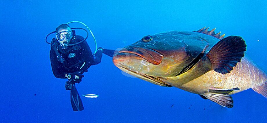 Snorkeling in Mallorca