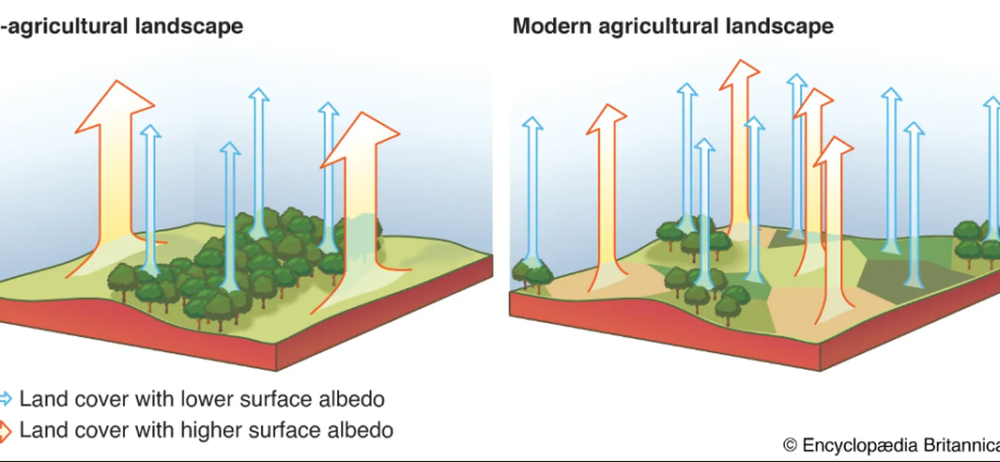 Climate Change on Agriculture