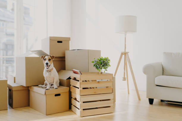 moving services in Mandurah