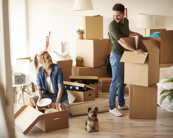 How to Handle the Stress of Relocation?