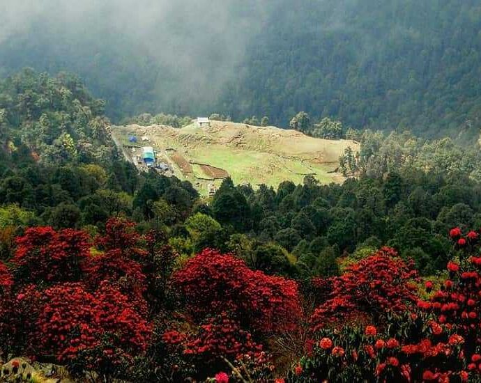 Tour of Chopta Valley and its Tourist Places