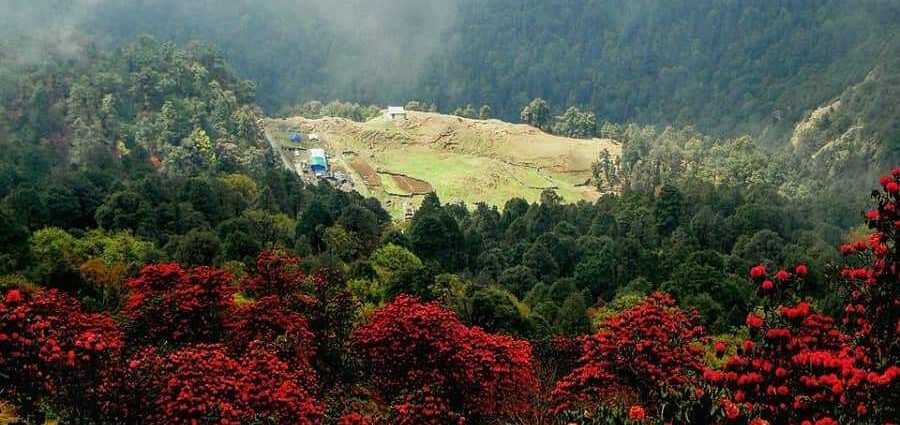 Tour of Chopta Valley and its Tourist Places