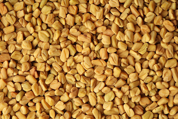 Fenugreek Seeds