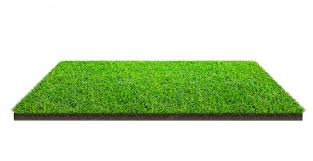 artificial grass