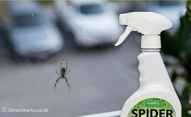 Which chemical agent is suitable for killing spiders?