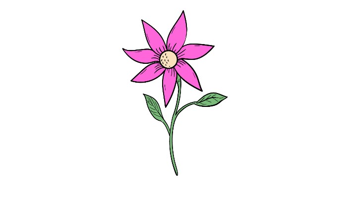 How to draw a Flower