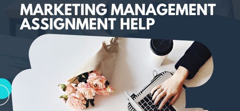 management assignment help