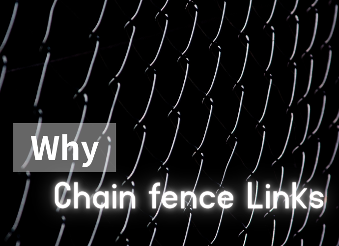 Chain fence Links