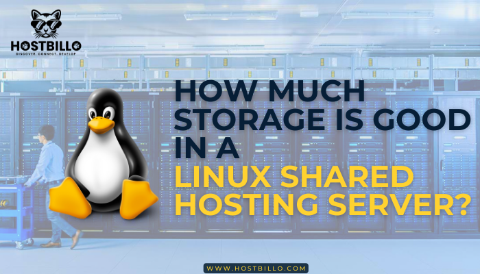 How Much Storage is Good in a Linux Shared Hosting server