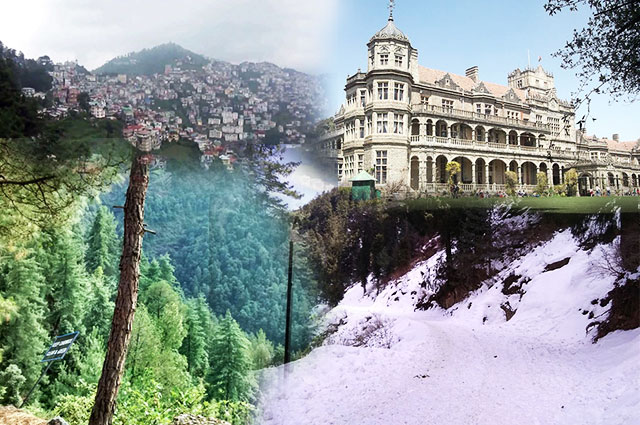 Best Things To Do In Shimla Family Vacation Tour