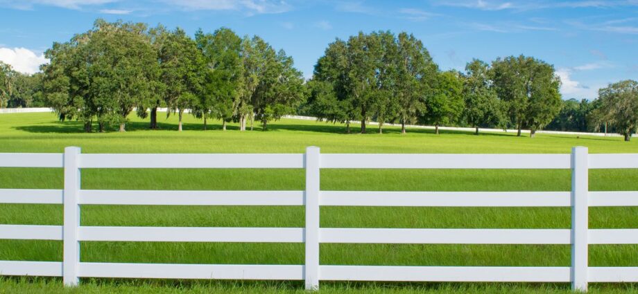 friend fence