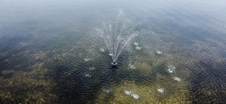 lake fountain