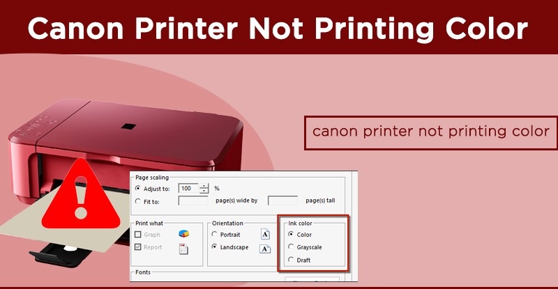 my canon printer is not printing