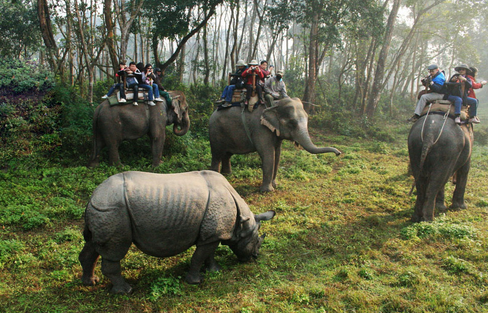 Chitwan National Park nepal tourist attraction