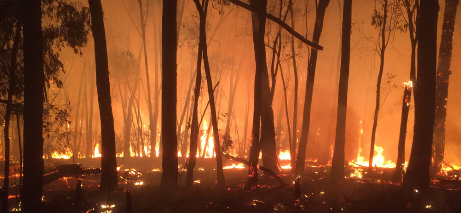 Bushfire Management